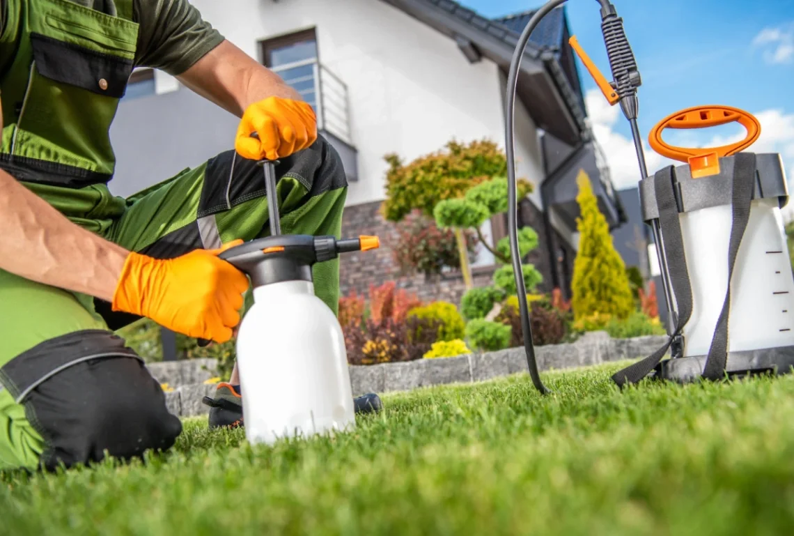 9 Pest Control Marketing Ideas for Off-peak Seasons